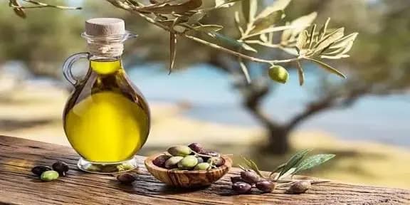 ارتفاع غير مسبوق بأسعار زيت الزيتون!