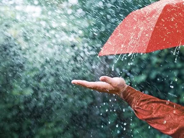 مصلحةُ الأبحاثِ العلميّة للمزارعين: استفيدوا من الأمطار