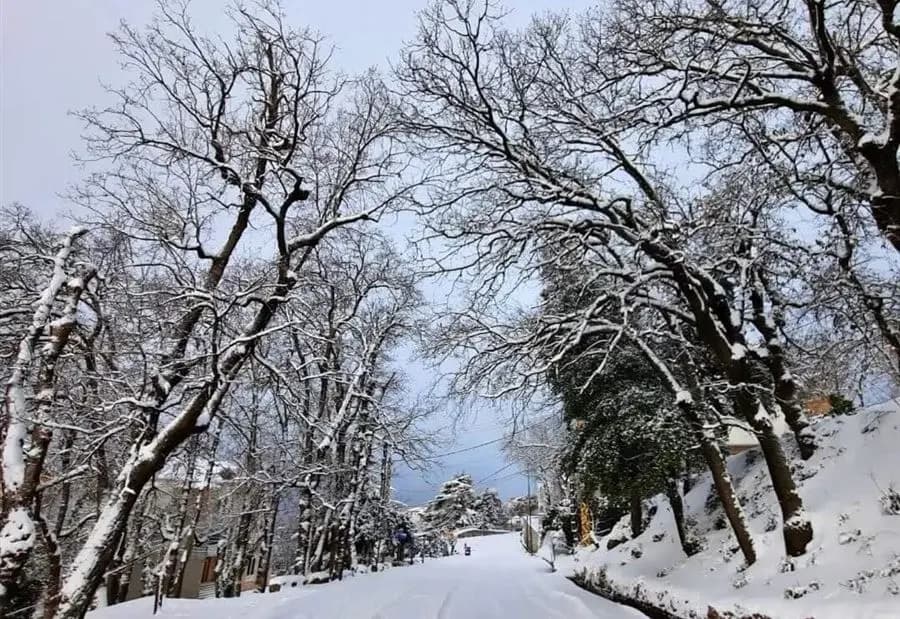 إلى متى يستمرّ المُنخفض الجوّي البارد؟