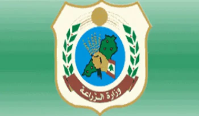 انتشار حشرة جاذوب السنديان... ووزارة الزّراعة تتحرّكُ