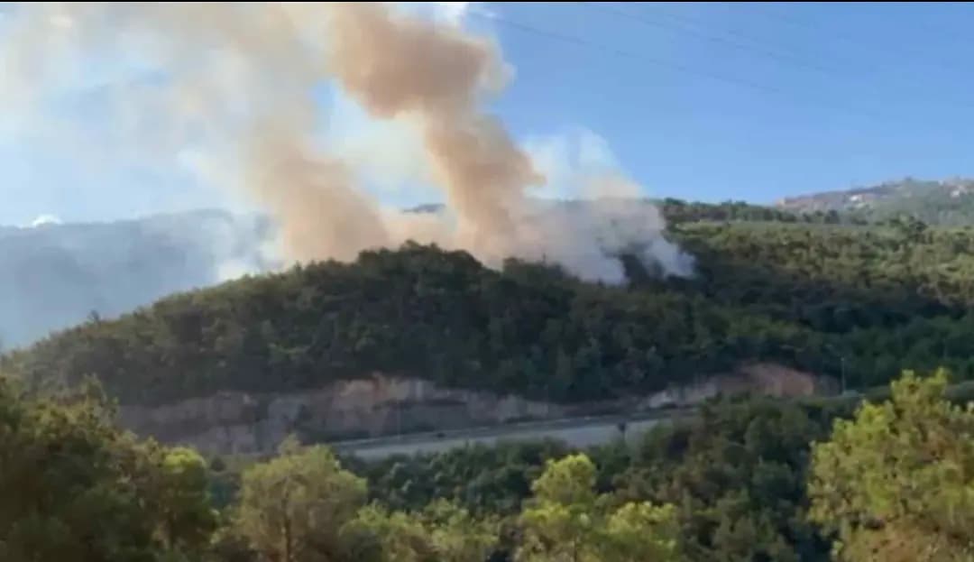 الحريقُ مُجدّدًا في أحراج روميه