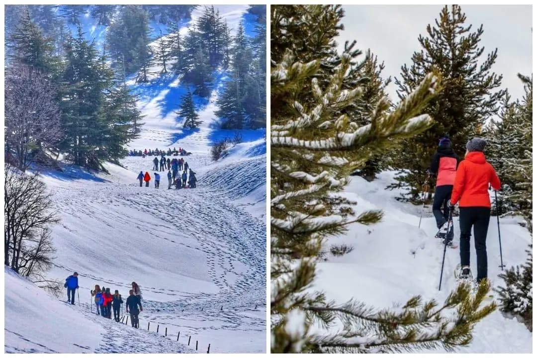 مواقع مثالية في لبنان لتجربة المشي على الثلج
