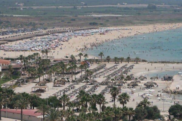 بشرى سارة.. هذا ما حصليت عليه محمية شاطئ صور