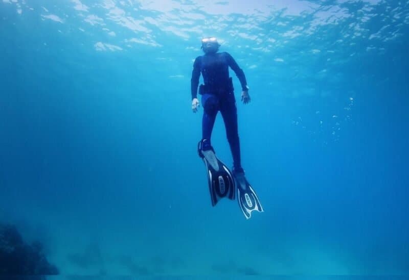 تطوير بدلة غطس تتحمل لدغة سمكة القرش