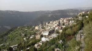 مجـ.ـزرة بيئية في "العباديّة".. هذا ما حصل