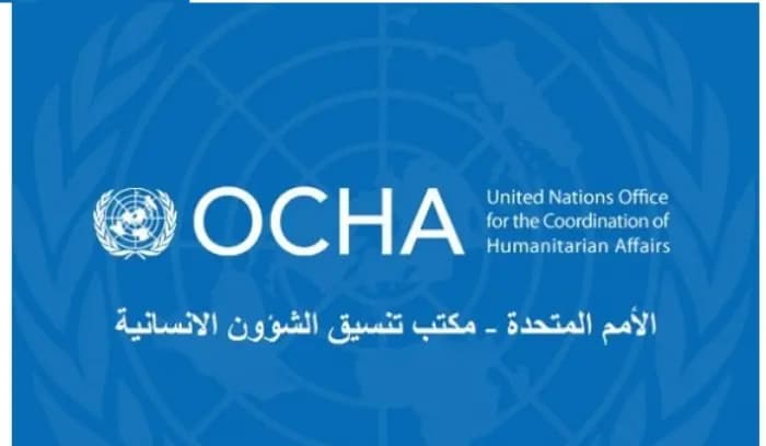 الأمم المتحدة: وفاة طفلتين رضيعتين جراء الصقيع في شمال غرب سوريا