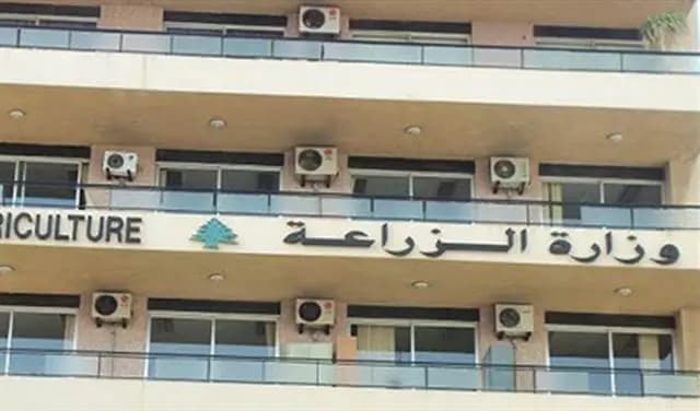 وزارة الزراعة تشدد على الالتزام بتراخيص الأحراج