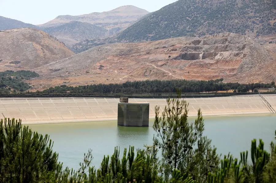 بالصور: ضيف لطيف في بحيرة القرعون