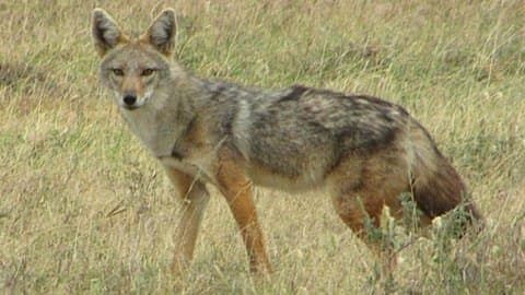 بعد المناشدة.. الوزارة تتحرك!